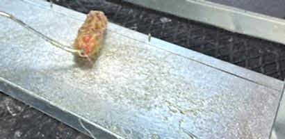 Havalandırma Kanalı İç İzolasyon